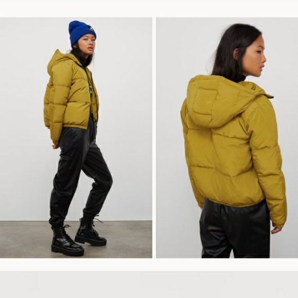 Hm Kangol Short Puffer Jacket | Poshmark